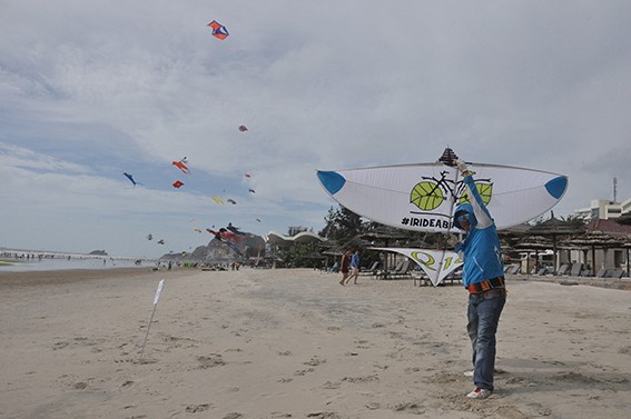 Concours de cerf-volant du Vietnam 2016 - ảnh 1